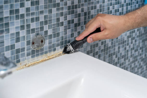 Best Professional Mold Removal  in Norwood, NY